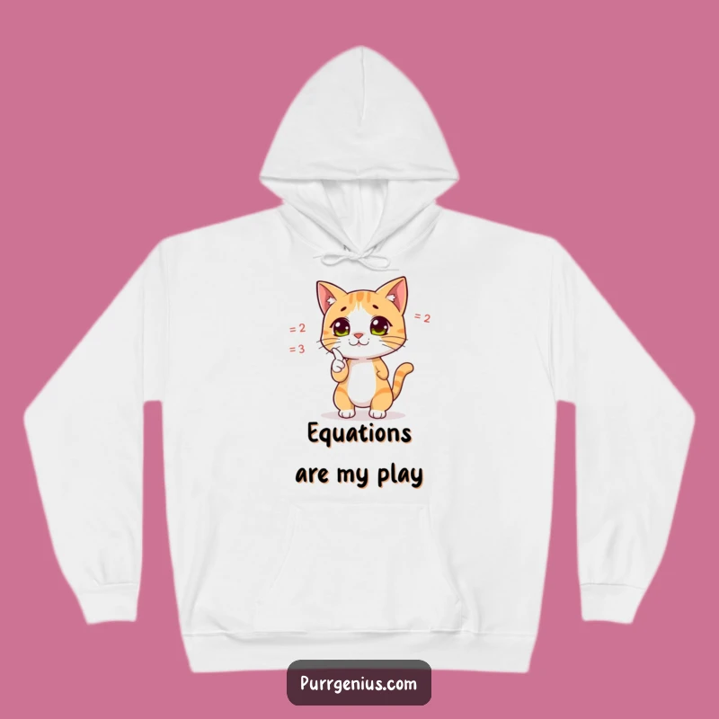 Cozy Funny Cat Math Hoodie: Pointing Feline Equation Solver Warm Gift