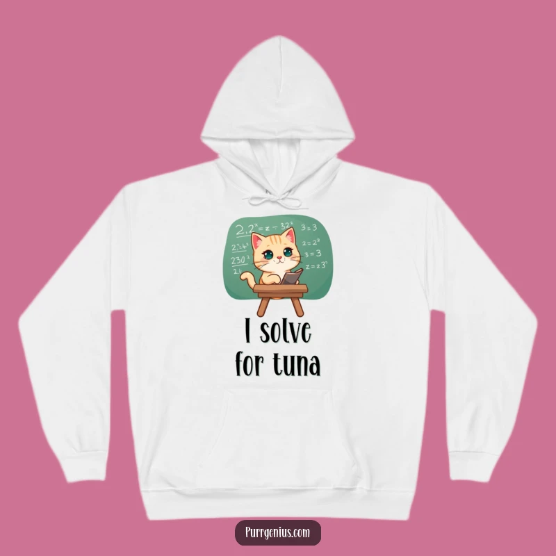 Funny Cat Math Equation Hoodie: Cozy Comfort for Intellects